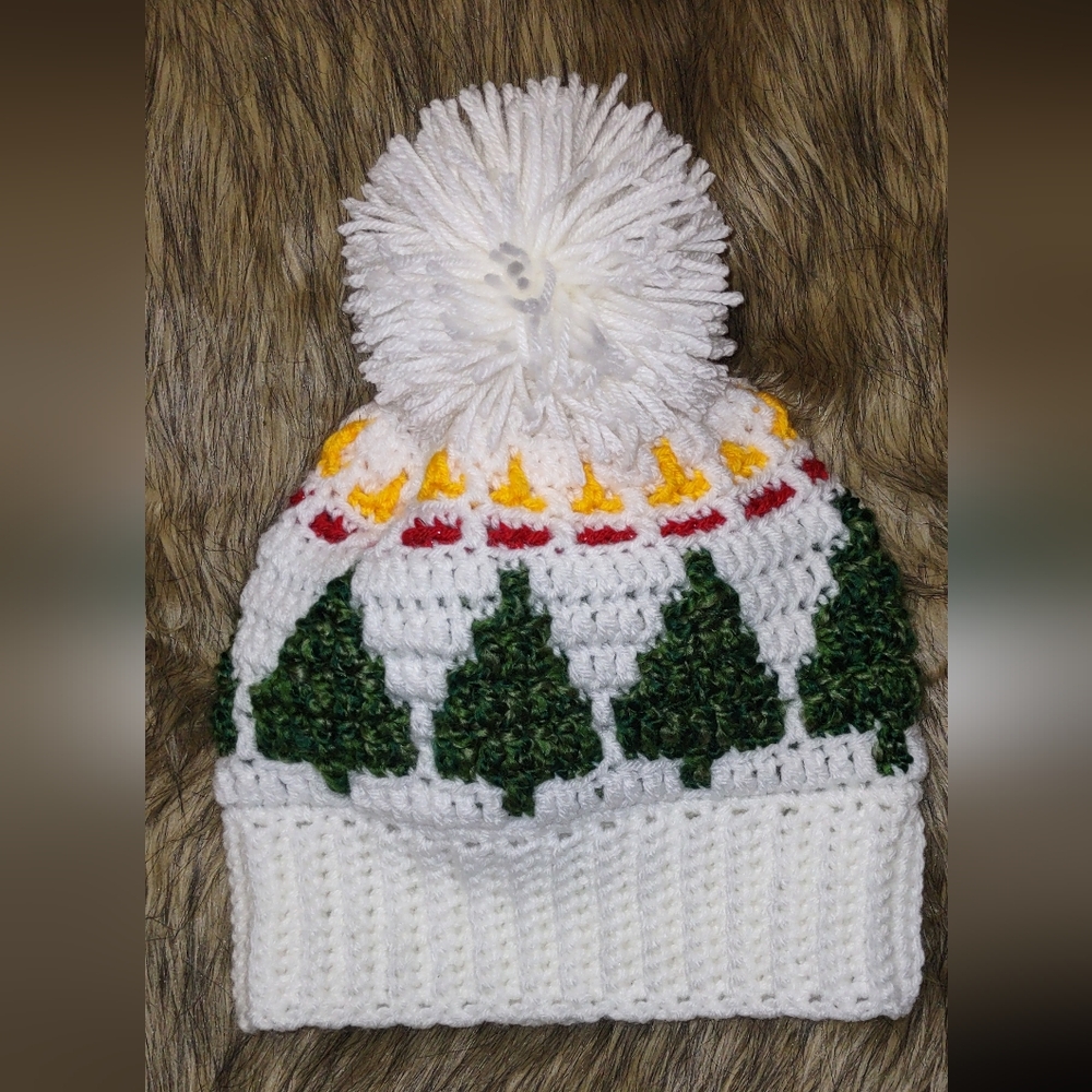 Crochet Winter Hat with Pom Pom